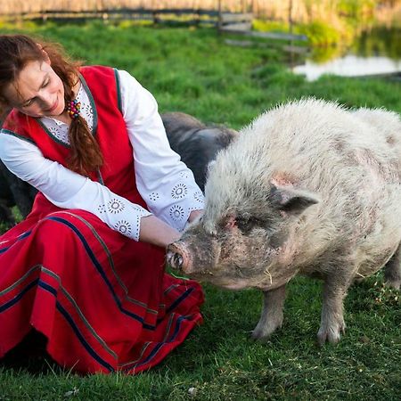 Tierstiftung Eulalia Apartment Babieta Bagian luar foto