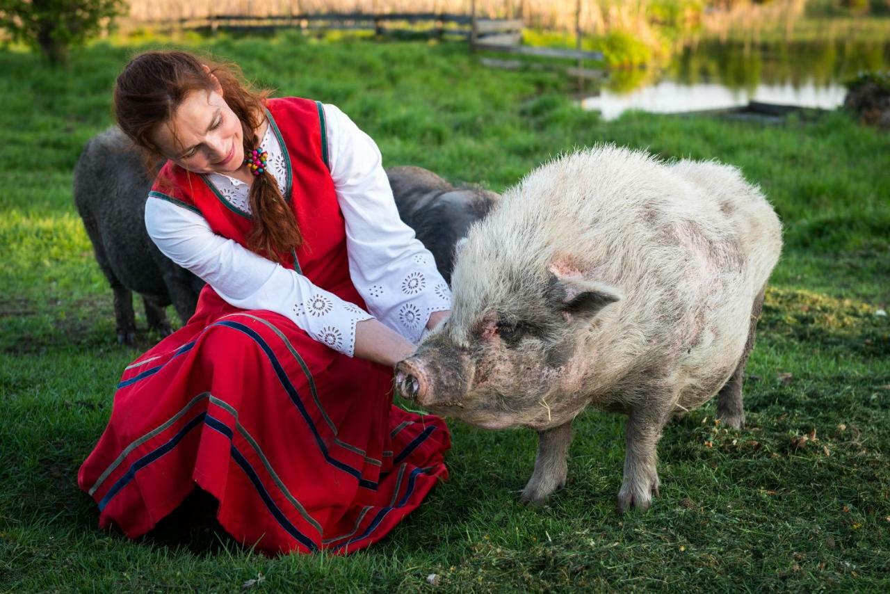 Tierstiftung Eulalia Apartment Babieta Bagian luar foto